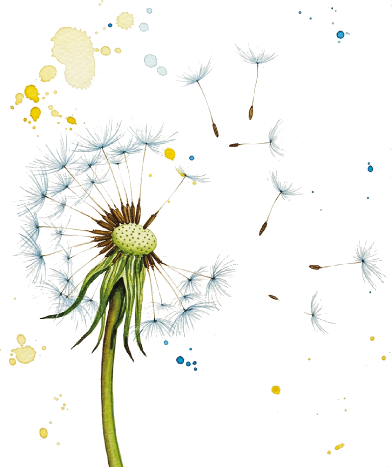 Fiore Cà Vendalis