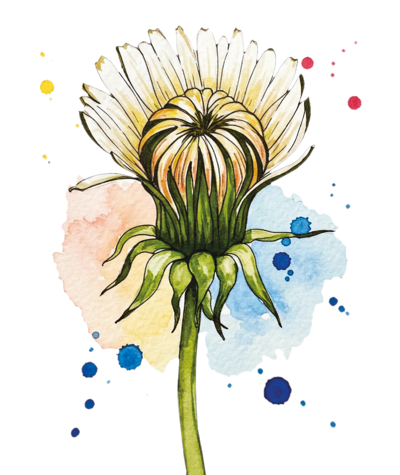 Fiore Cà Vendalis